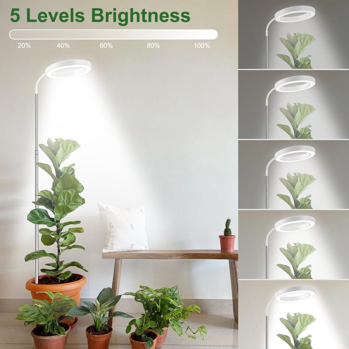 wolezek Grow Light, 80 LEDs Grow Lights for Indoor Plants Full Spectrum, 65in Plant Lights Indoor, 3 Colors LED Grow Light with 360°Gooseneck, 6/12/16H Timer, 5 Brightness, Height Adjustable, White [Energy Class F] - Image 4
