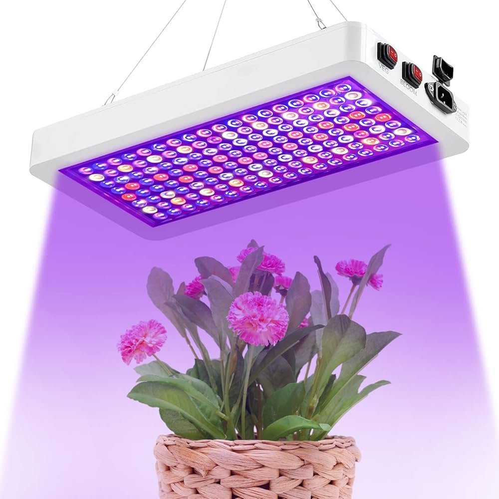 2000w Led Grow Lights Double Chips Full Spectrum