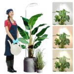 wolezek Grow Light, 80 LEDs Grow Lights for Indoor Plants Full Spectrum, 65in Plant Lights Indoor, 3 Colors LED Grow Light with 360°Gooseneck, 6/12/16H Timer, 5 Brightness, Height Adjustable, White [Energy Class F] - Image 2