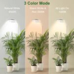 wolezek Grow Light, 80 LEDs Grow Lights for Indoor Plants Full Spectrum, 65in Plant Lights Indoor, 3 Colors LED Grow Light with 360°Gooseneck, 6/12/16H Timer, 5 Brightness, Height Adjustable, White [Energy Class F] - Image 3